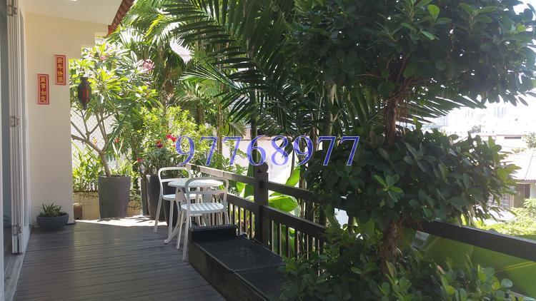 Casa Fidelio (D15), Terrace #146652482